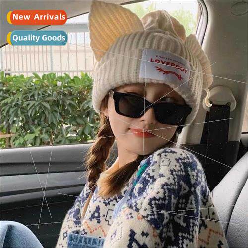 Winter hat female Korean knted cat ears hip-hop wool cap per