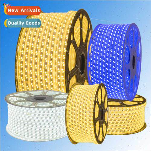 led strip light 2835 neon 5050 soft strip 5730 SMD double ro
