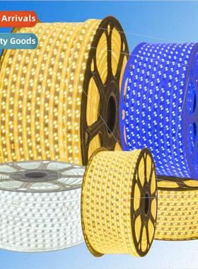 led strip light 2835 neon 5050 soft strip 5730 SMD double ro