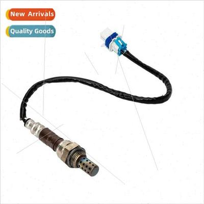 Oxygen sensor oxygen sensor 253333812 234-4407 2344256 12609