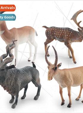 wildlife model antelope twisted horns goat high nose antelop