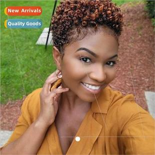 african small curly wig hair Europe wig women short curly ha