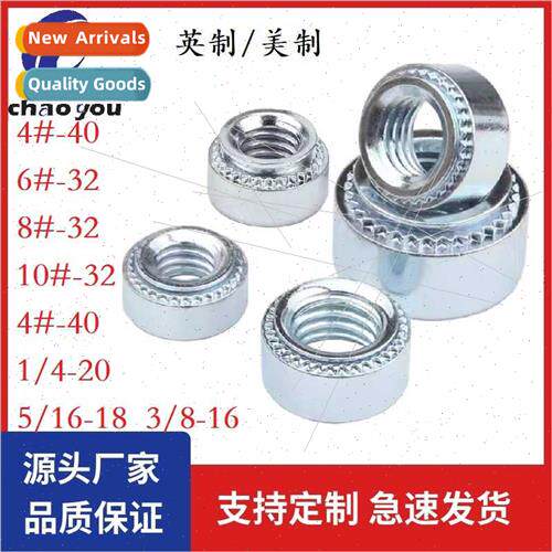 US UK environmental protection rivet nut Pressure plate nut