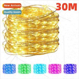 Wire USB ghts Copper String 30M LED Garland lver