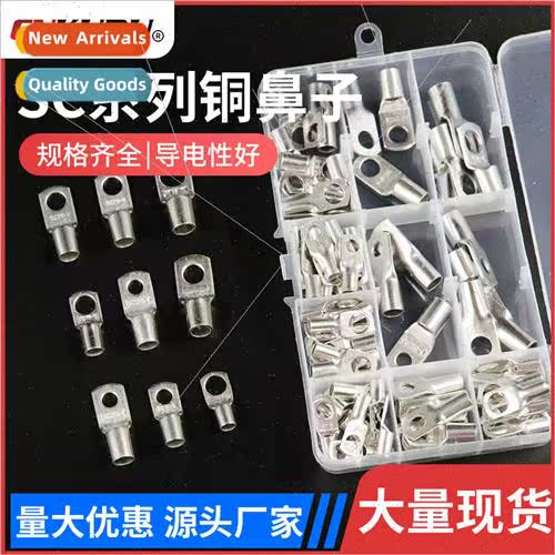 100pcs SC peephole copper tinned cold pressed terminals copp