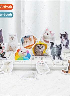 Suck mouth cat gas series stickers cute cure cute pet phone