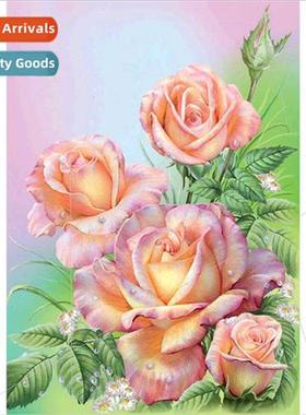 New living room small hand-applied diamond full diamond bota