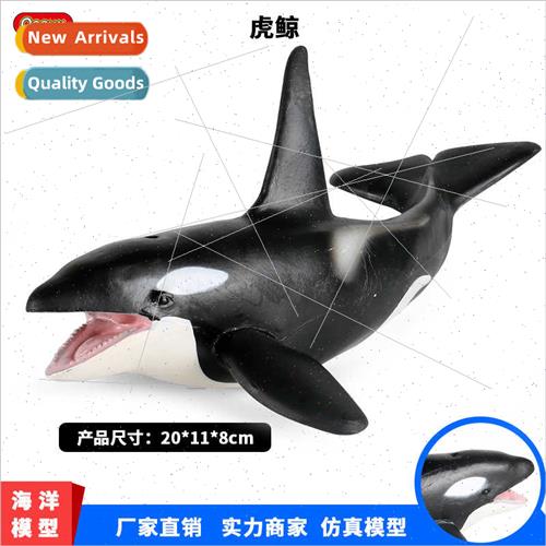 Toys simulation killer whale shark static solid pendulum han
