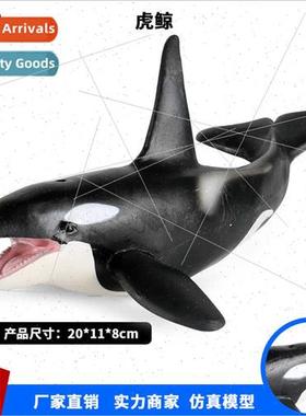 Toys simulation killer whale shark static solid pendulum han