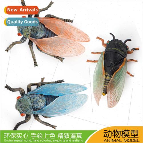 simulation animal insect model solid PVC cicada cicada cicad