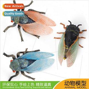 model insect solid PVC cicad simulation cicada animal