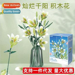 Building Blocks Thousand Log Suns Plant Splendid Flower