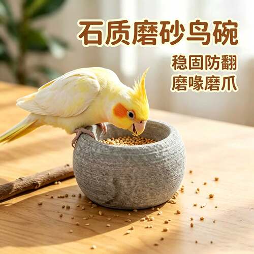 鹦鹉食盒防溅鸟磨嘴碗磨爪磨喙