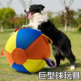 狗狗巨型球玩具牧马球边牧金毛宠物玩具耐咬中大型犬超大解闷自嗨