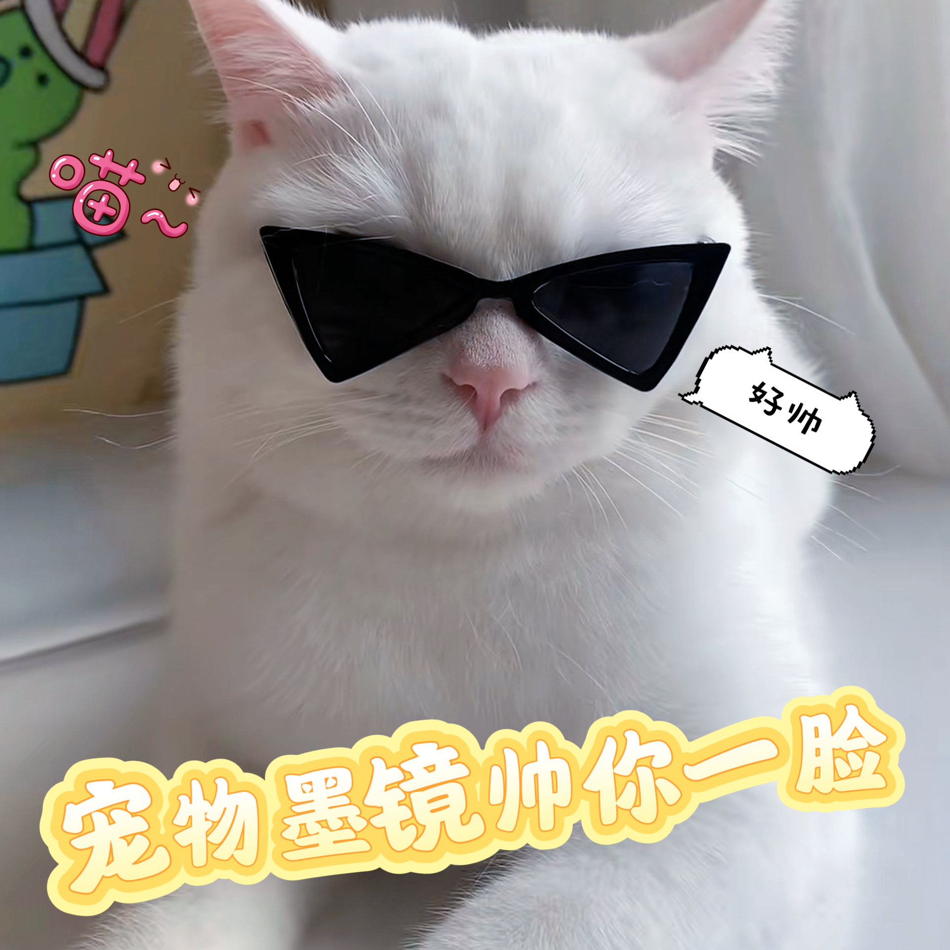 宠物墨镜三角型墨镜耍酷拍照道具