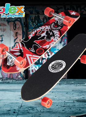 Solex 陆地冲浪板儿童滑板初学者四轮滑板专业成人路冲板大小鱼板