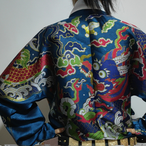 朝云涧妆花飞鱼纹曳撒
