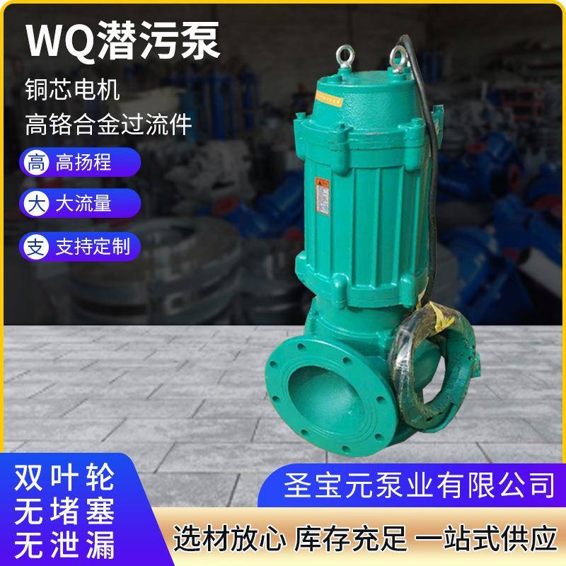 WQ潜污泵地下室排水排污泵市政潜污泵电驱动排涝泵防洪抢险污水泵