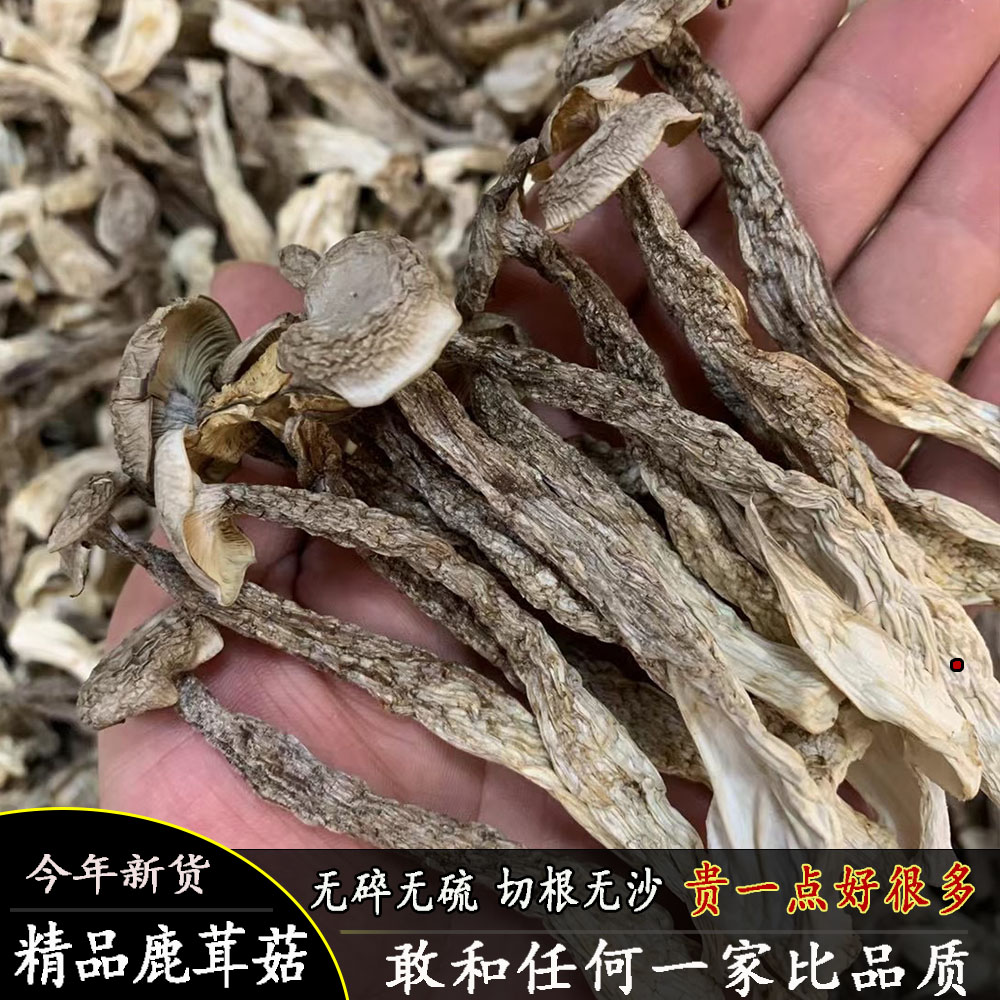 鹿茸菇云南菌类干货鹿耳菇特级蘑菇江...