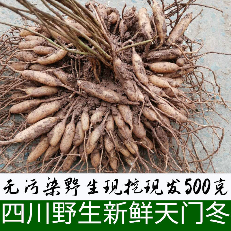 天门冬图片大全功效,泡水,作用(第15页)_大山谷图库