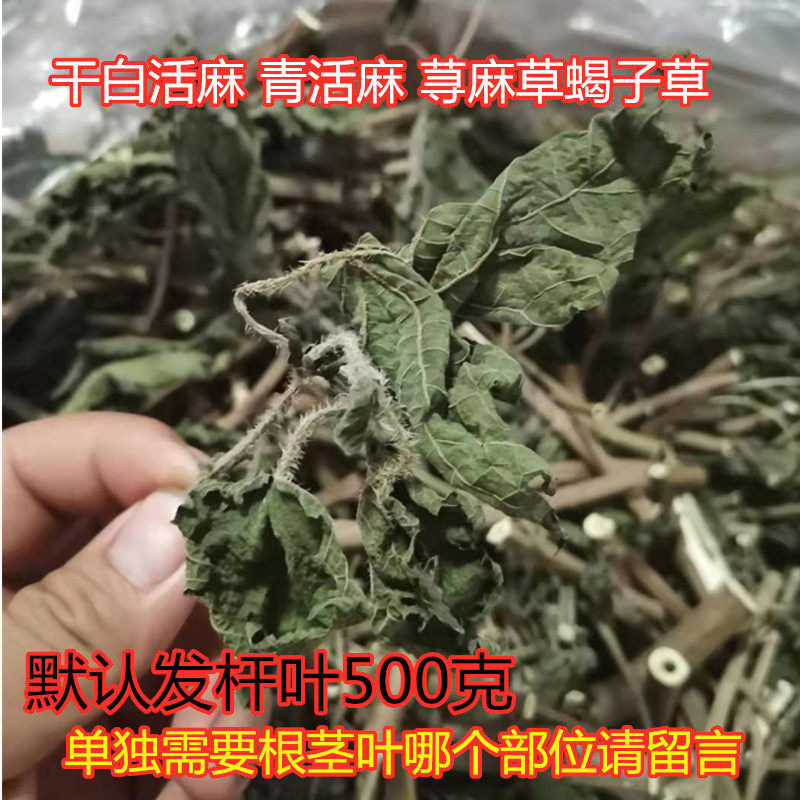 四川中药材干荨麻草咬人草蝎子草白活麻白藿麻叶绿杆荨麻干货豁麻