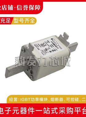 170M3144 170M3145 170M3146 170M3147 170M3148全新熔断器现货