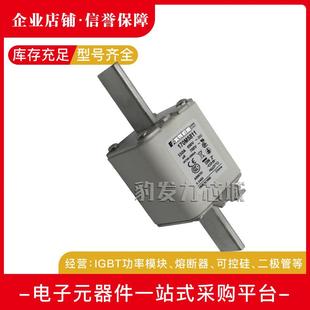 170M5699 170M5695 170M5698 170M5697 170M5700熔断器 170M5696