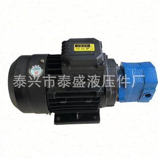 B25NJZ 1东高 B16NJZ B40NJZ B20 1摆线齿轮油泵电机BB B32N