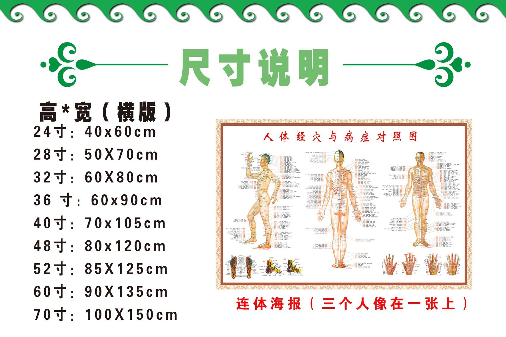 中医养生全身经络穴位病症对照图图解人体穴位图挂图针灸艾灸挂画