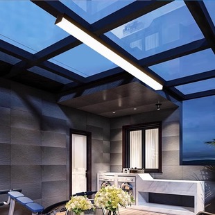 玻璃温室专用吸顶灯户外阳台入户灯走廊灯露台亭子屋簷长条灯