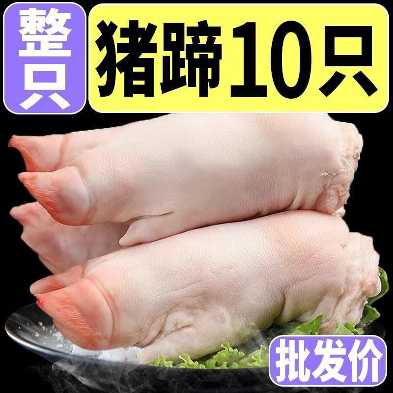 12只新鲜猪蹄整只猪蹄新鲜带筋猪蹄猪脚猪手前蹄后蹄整箱批发2只