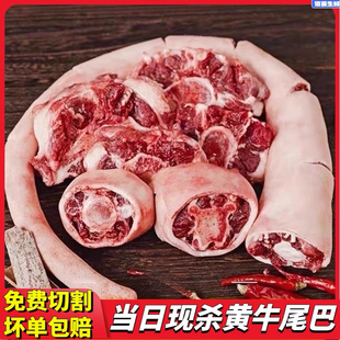 20斤带皮牛尾巴整根原切黄牛新鲜现杀牛尾骨正宗黄牛肉商用牛杂