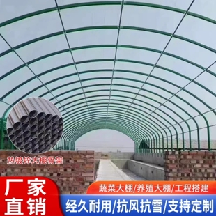 香菇水产棚牛羊大棚骨架拱棚暖棚椭圆管养鸡蔬菜棚养猪热镀锌管