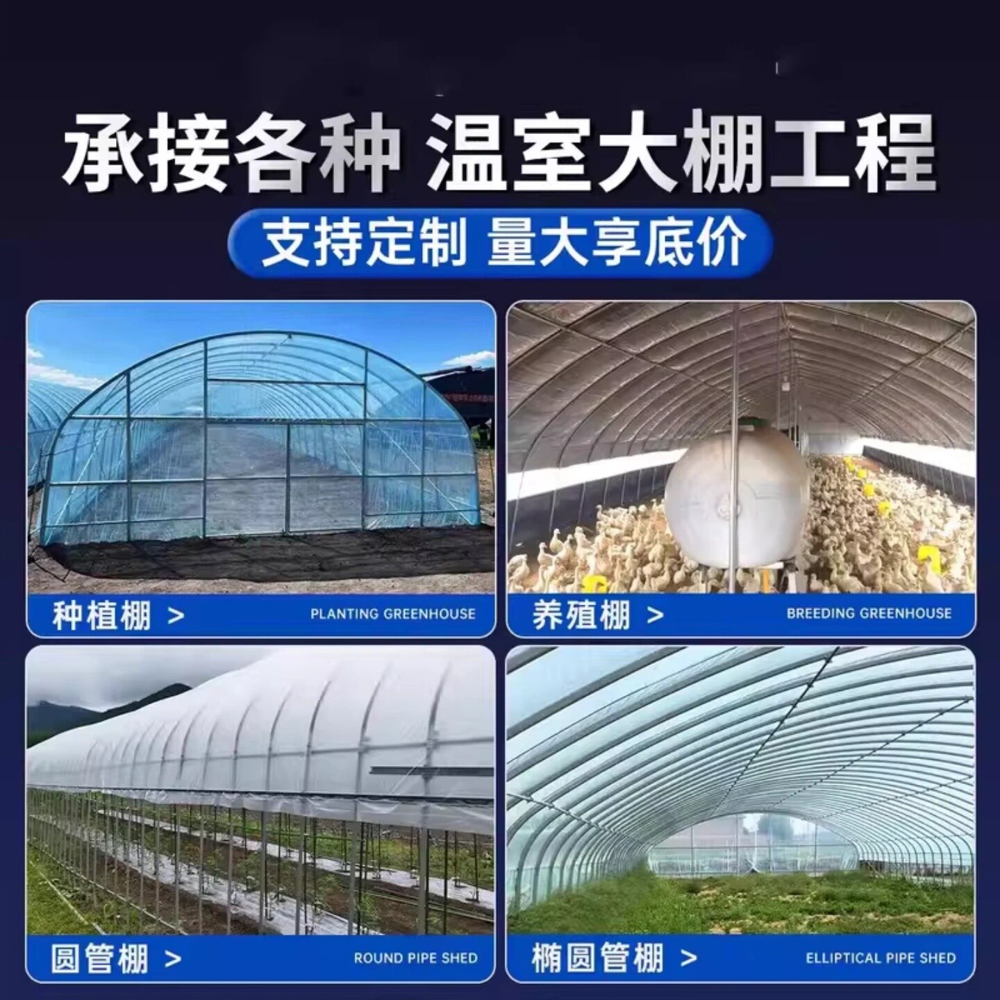 椭圆管包塑钢管养鸡大棚骨架香菇水产棚养殖棚暖棚拱棚蔬菜棚