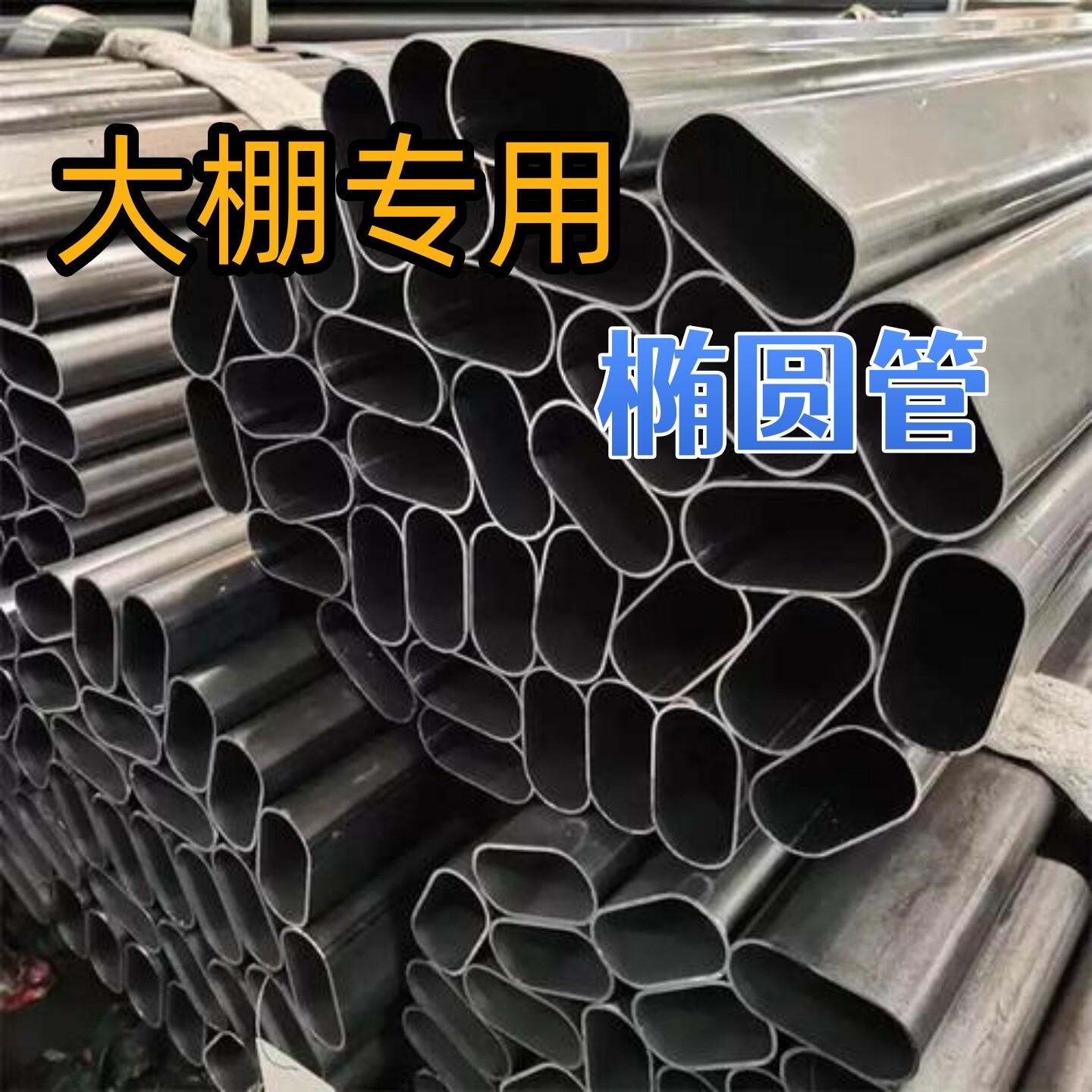 种植香菇水产棚养殖棚蔬菜棚大棚骨架椭圆管养鸡包塑钢管养猪