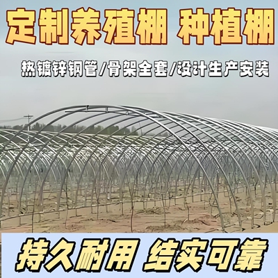 椭圆管养猪暖棚热镀锌管仓库温室大棚骨架牛香菇水产棚包塑钢管