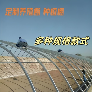 椭圆管大棚骨架拱棚牛羊仓库包塑钢管养鸡养殖棚香菇水产棚种植