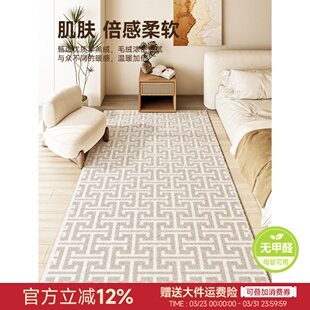 卧室床边房间地毯秋冬加厚现代风客厅茶几地垫卧室沙发飘窗垫毛绒