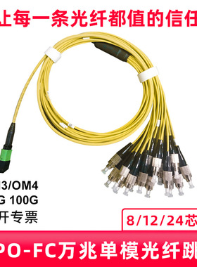 永定MPO-MPO-LC/FC/MTP万兆单模apc光纤跳线8 12芯40G100G模块连接线OS2机房数据中心集束阻燃1/2/3m 1310NM