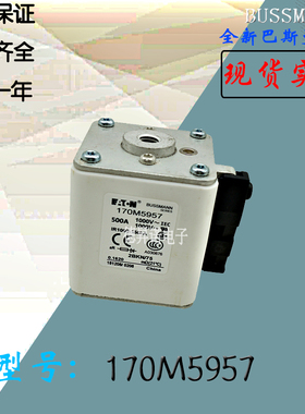 170M5928全新热卖供应巴斯曼熔断器170M5929库存现货直销170M5930