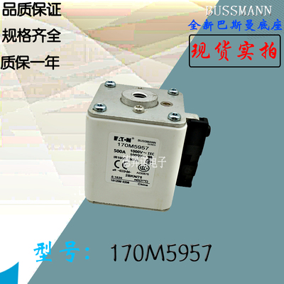 170M5928全新热卖供应巴斯曼熔断器170M5929库存现货直销170M5930