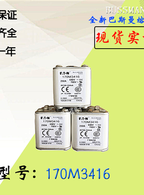 全新热卖供应170M3412巴斯曼熔断器170M3413电子保险丝170M3414