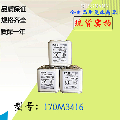全新热卖供应170M3412巴斯曼熔断器170M3413电子保险丝170M3414