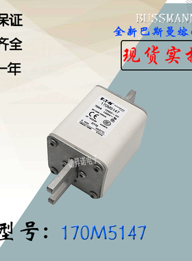 170M5149当天发货170M5150全新热卖供应巴斯曼熔断器库存现货直销