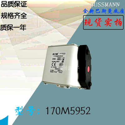 170M5952全新热卖供应巴斯曼熔断器170M5953库存现货直销170M5954