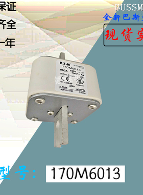 170M6011全新热卖供应巴斯曼熔断器170M6012电子现货直销170M6013