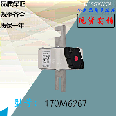 全新原装热卖170M6267巴斯曼熔断器170M6268电子保险丝170M6269