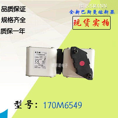 170M6596全新热卖供应巴斯曼熔断器170M6597库存现货直销170M6598
