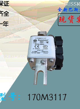 全新热卖供应170M3118巴斯曼熔断器170M3119电子保险丝170M3120