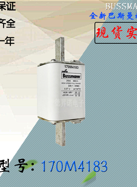 全新热卖供应170M4182巴斯曼熔断器170M4183电子保险丝170M4184